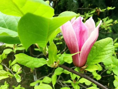 生生不息，意由心生 解讀生意之本與批發貿易之道